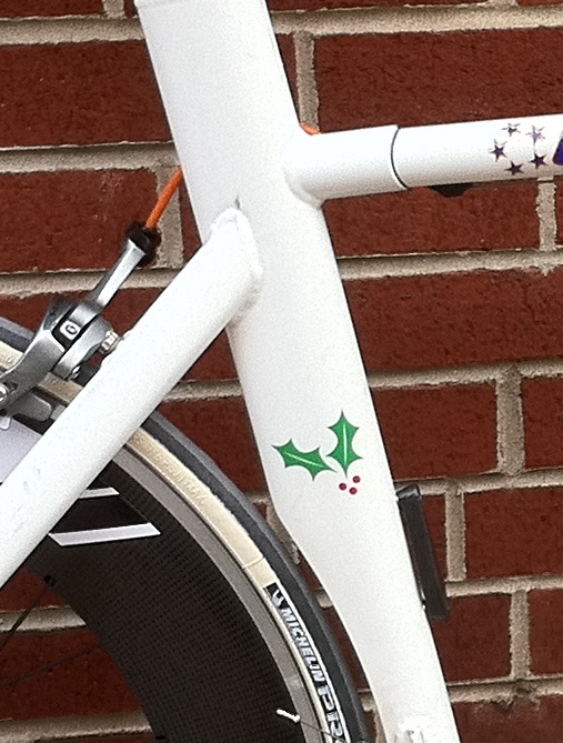 Elite Bicycles factory team custom painted bike for Holly Geldhauser