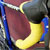 Tom Koebele's Joule Pro Carbon Road Bicycle