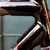 David's Joule Pro Carbon Road Bicycle