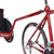 Hoyt Chair & Bike Triathlon Custom Running Bicycle