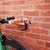 Jacob Mueller's Time Trial T Class Bicycle